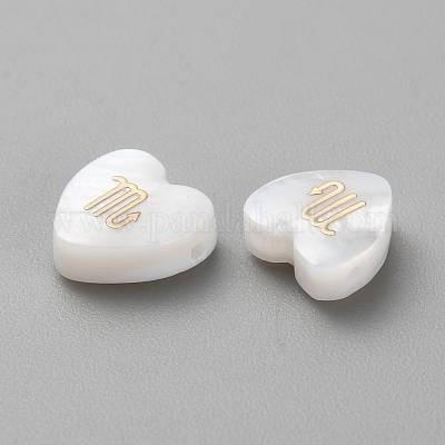 5шт натуральные белые бусины из ракушек BSHE-TAC0004-02J-1