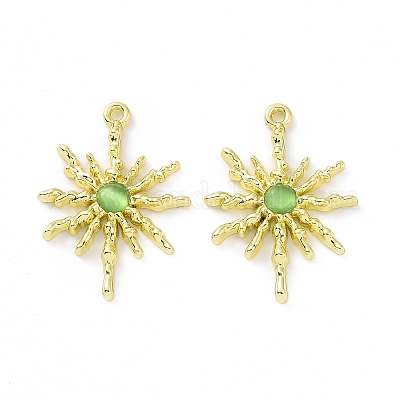 Подвески для кошачьего глаза из сплава PALLOY-D007-08G-A-1