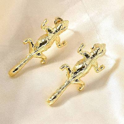 Латунь серьги EJEW-B118-02G-1