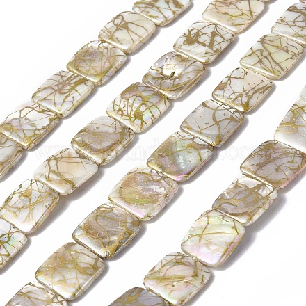 Brins de perles de coquille d'eau douce naturelles de style drawbench SHEL-C003-01-1