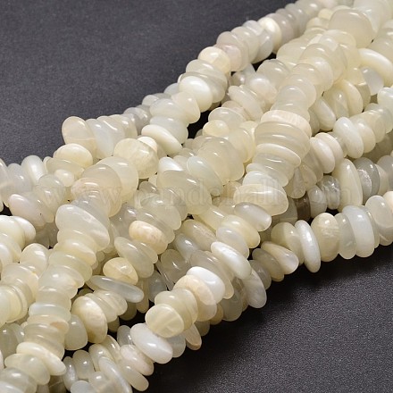 Natural White Moonstone Chip Beads Strands G-E271-65-1