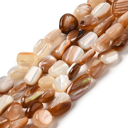 Chapelets de perles en coquillage naturel SHEL-K006-16A-1