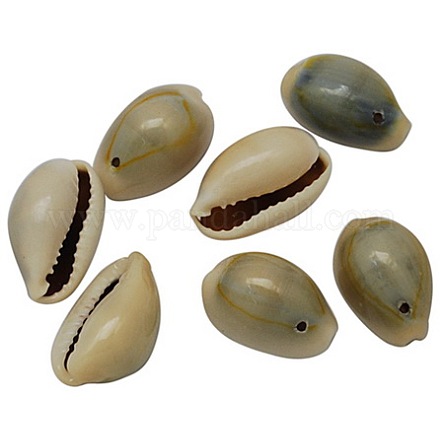 Natürliche Kaurimuschel Perlen X-BSHE-S050-1