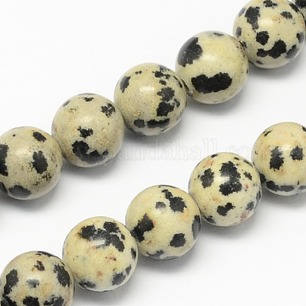 Dalmatien naturel jaspe brins pierre de perles X-G-R193-14-4mm-1