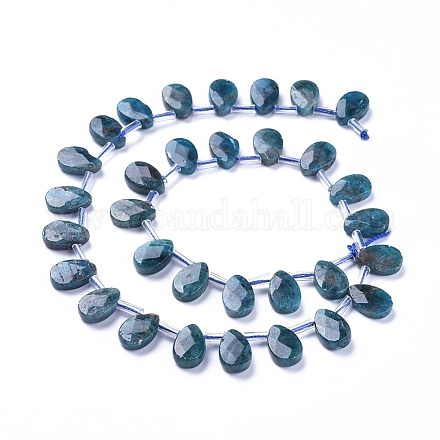 Chapelets de perles en apatite naturelle G-G805-B02-1