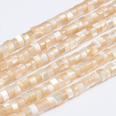 Fili di perle di conchiglia trochid naturale / trochus SSHEL-L016-13B-1