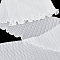 Polyester Ribbons, for Clothes Accessories, White, 6-7/8 inch(174mm)