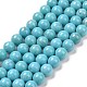 ARRICRAFT Natural Turquoise Beads Strands G-AR0001-23-1