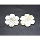 Flores naturales cuentas de concha blanca SSHEL-P015-05-2