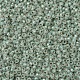 Perles rocailles miyuki rondes X-SEED-G007-RR2354-3
