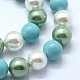 Chapelets de perles de coquille BSHE-K053-04-8mm-10-3