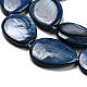 Chapelets de perles de coquille d'eau douce naturelle teinte BSHE-G034-24-4