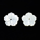 Perlas de concha de nácar de concha blanca natural SSHEL-T014-42B-3
