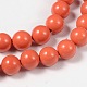 Shell Pearl Beads Strands SP6MM243-3