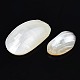 Natural Conch Shell Cabochons SSHEL-N034-91-4