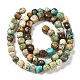 Natural Turquoise Beads Strands G-P506-06C-3