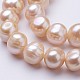 Natural Cultured Freshwater Pearl Beads Strands PEAR-F004-39-3