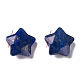Natural Lapis Lazuli Charms G-H241-04A-2