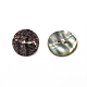 Abalone-Muschel / Paua-Muschel&nbsp;X-BSHE-I011-04A-1