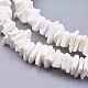 Chapelets de perles en coquillage naturel X-BSHE-K012-08E-3