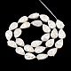 Placage de brins de perles de coquille d'eau douce naturelles SHEL-N026-229-2