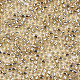 Glass Seed Beads X-SEED-S042-04A-05-3