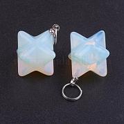 Opalite подвески G-E398-02M