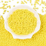 Выпечка краска стеклянные бусины SEED-T006-03C