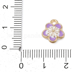 Pendentifs d'émail en alliage&nbsp;FIND-Z070-05G-06