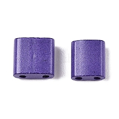 2-луночное стекло для выпечки&nbsp;SEED-S023-17C-13