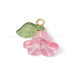 8шт акриловые подвески PALLOY-JF03216