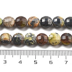 Естественный зеленый опал бисер нитей G-C179-A24-03