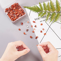 Натуральный красный агат бисера G-CJ0001-16