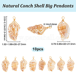 10 шт. большие подвески из натуральной ракушки&nbsp;FIND-BBC0003-11