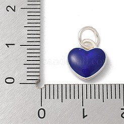 S925 Sterling Silber Anhänger&nbsp;LS-STER-H115-05E-S03