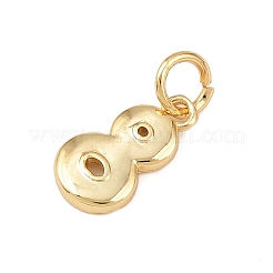 Breloques en laiton&nbsp;KK-G544-10G-08