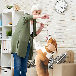 Hundeklingel aus messing&nbsp;AJEW-WH0312-38A