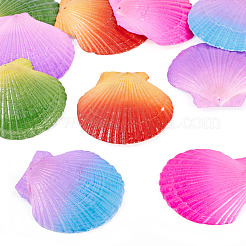 10 шт. большие подвески из натуральной ракушки гребешка&nbsp;SSHEL-TA0001-23