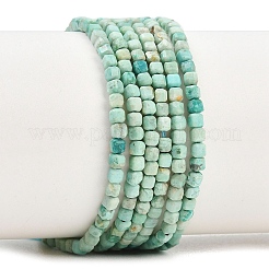 Бусы натуральная перуанская бирюза (яшма)&nbsp;G-G345-A01-2.5mm