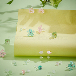 12 пара сережек-гвоздиков из смолы 12 стилей&nbsp;EJEW-PH0001-31