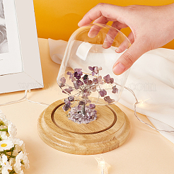 Vitrinen mit Glockenkuppel aus klarem Glas&nbsp;DIY-PH0028-89B