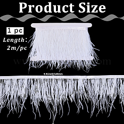Cinta de plumas de 2 m&nbsp;OCOR-GF0006-63B