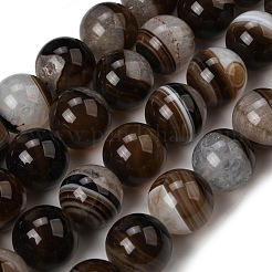 Природный агат бисер нитей&nbsp;G-F820-K06-16mm-01A