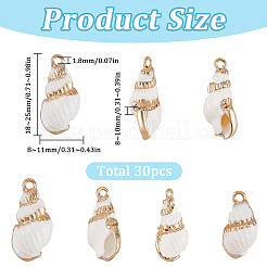 30 шт. гальванизированные спиральные подвески-ракушки SSHEL-SC0001-29A