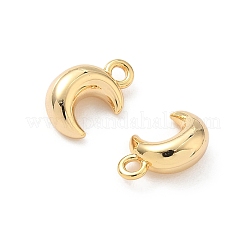 Латунь подвески&nbsp;KK-C099-07G