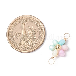 Подвески-коннекторы в виде цветка радуги из окрашенной натуральной пресноводной ракушки с медной проволокой&nbsp;PALLOY-JF03768-02