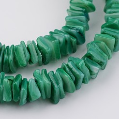 Conchiglia naturale fili di perle&nbsp;BSHE-P021-08