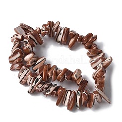 Окрашенные нити натуральных бусин-ракушек трохуса&nbsp;SSHEL-C013-09B