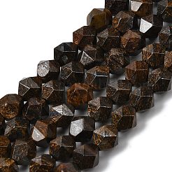 Природные бронзитом бисер нитей G-Z119-A30-02