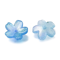 Акриловый шарик крышки OACR-I024-01J